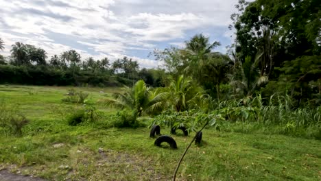 the scenery on the riverbank overgrown with grass and water hyacinth, the water discharge is small but full of mud