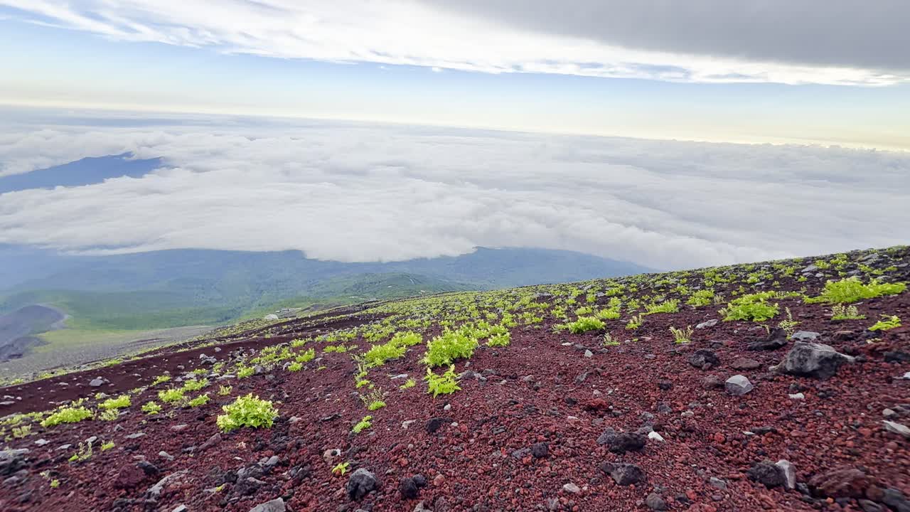 A thrilling trek up Mount Fuji takes you through diverse landscapes, from lush foothills to rocky slopes, ending with panoramic summit views