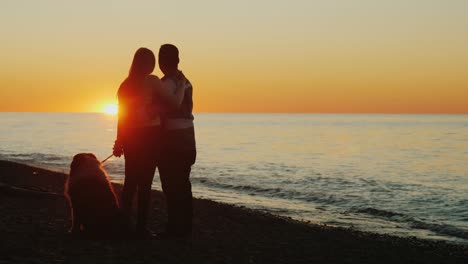 walk with your favorite dog. a young couple is fond of the semblance of the sun over the sea, next to their pet