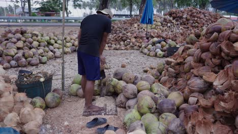 man husking coconuts at a roadside stand