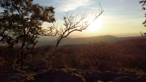 Toma-Panorámica-De-árboles-De-Silueta-Contra-El-Cielo-De-La-Hora-Dorada-Sobre-Las-Montañas-En-El-Horizonte