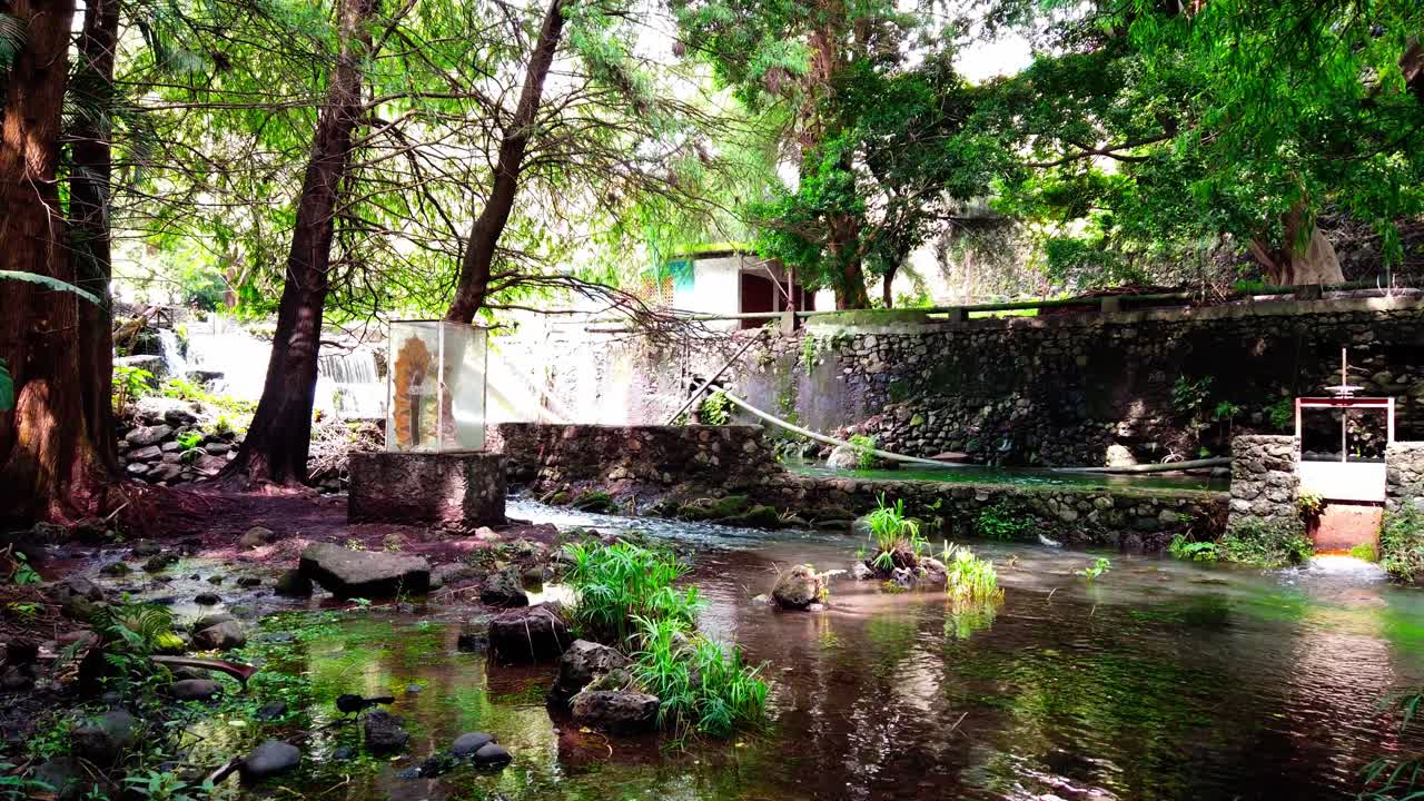 Elevating view of a calm stream with rocks and greenery in Chapultepec Park, featuring a bird.