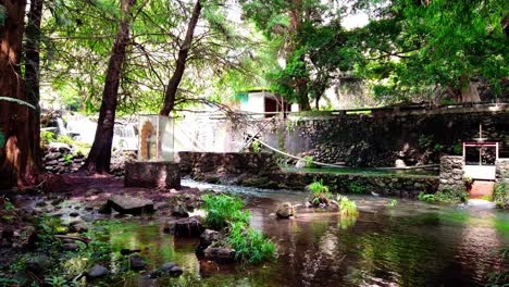 elevating view of a calm stream with rocks and greenery in chapultepec park, featuring a bird.