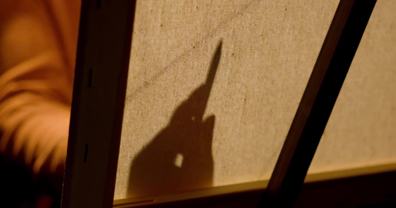 Woman drawing on easel canvas in a dark void, shadow of hand from behind as camera follows