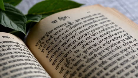 open book with ancient text and green leaf