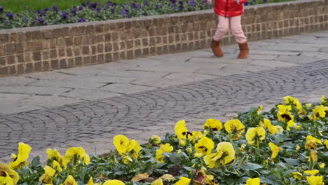 Hermoso-Lecho-De-Flores-Amarillas-Y-Violetas-En-El-Centro-De-La-Ciudad-Con-Una-Niña-Saltando-Y-Caminando-En-El-Fondo