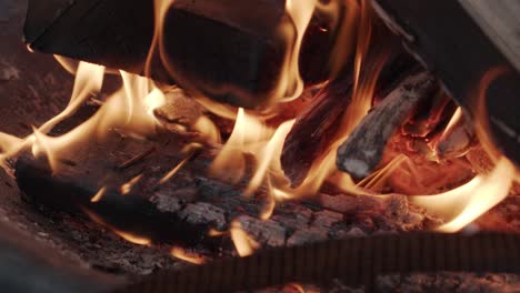 close-up of burning wood in a fireplace