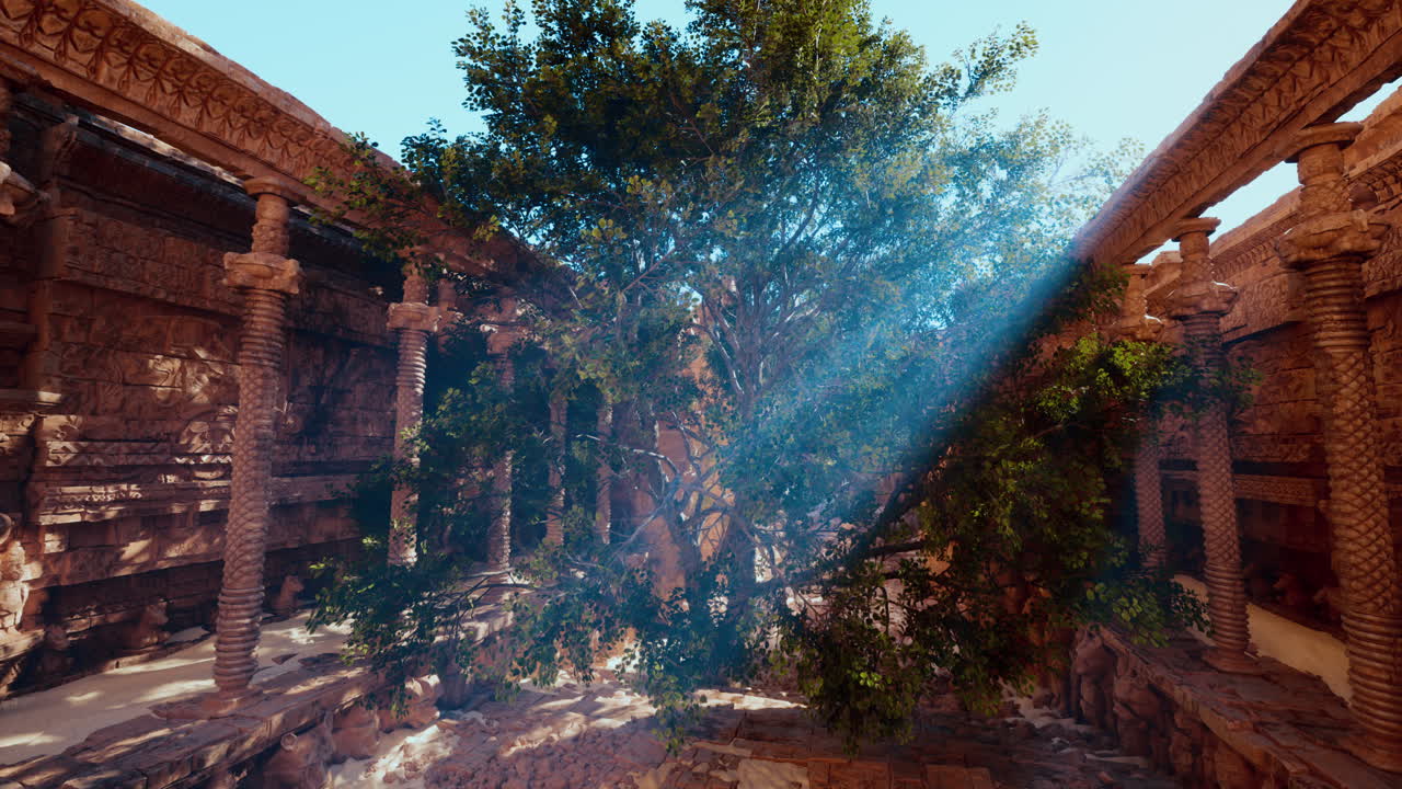 ruinas de templos antiguos con un árbol en el centro