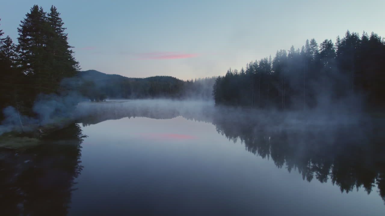 소나무 숲으로 둘러싸인 안개가 자욱한 산 호수