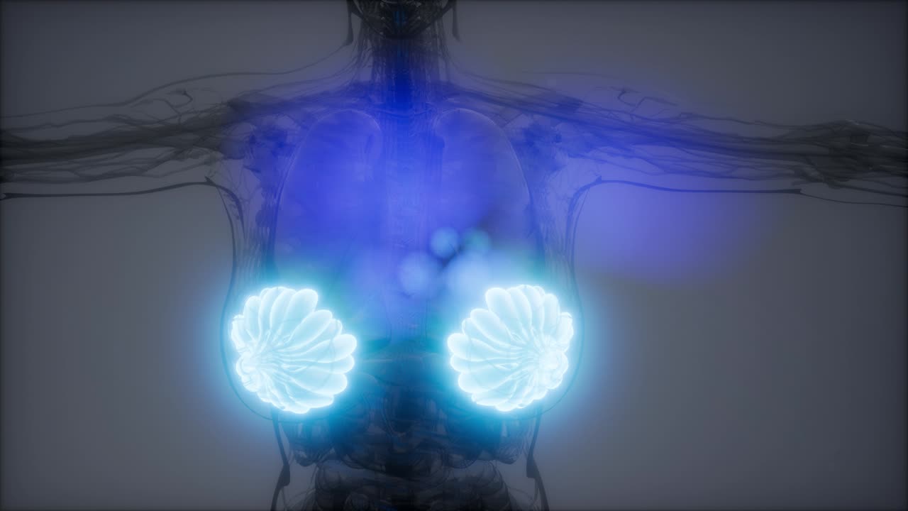 비만 여성의 유방선에 대한 의학적으로 정확한 그림