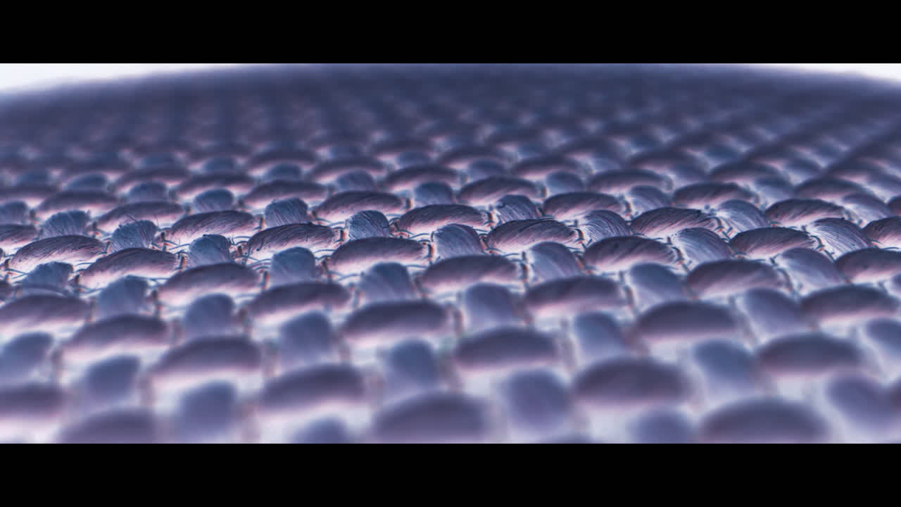 Close-up view of a complex textile or biological material