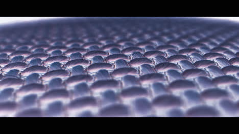 close-up view of a complex textile or biological material