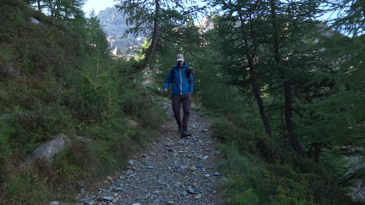 hombre solo caminando por un sendero de montaña rodeado de árboles en valmalenco