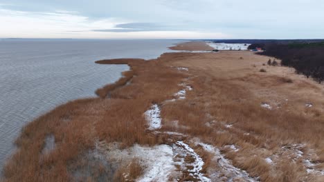 An aerial view of the Curonian Lagoon coast, swampy and overgrown with grass and reeds, wintertime. Europe Lithuania.