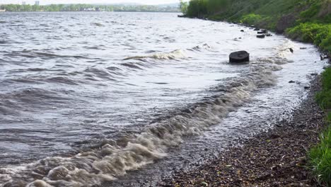 waves are washing logs on the shore of the reservoir.