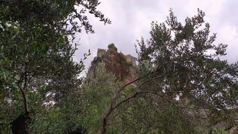 low angle view between trees of roccascalegna on rock spur, italy