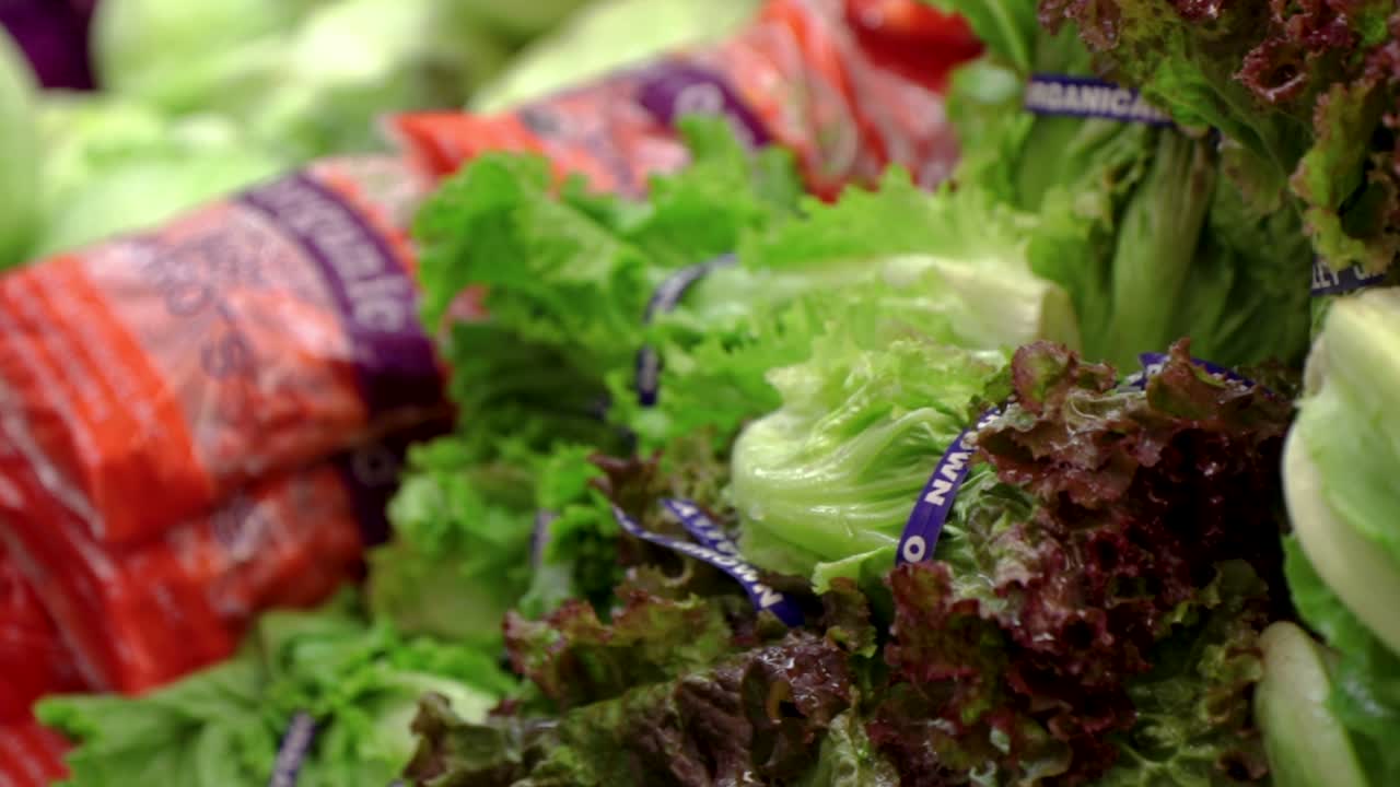 Slow panning shot of a row of lettuce and carrots on a vegetable stall