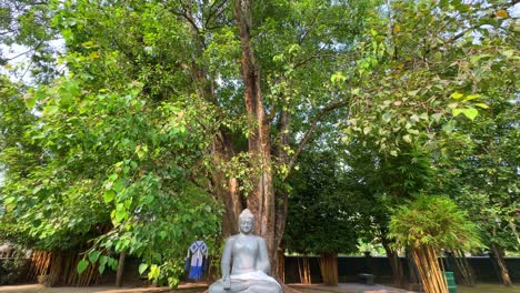 estatua de buda con flores en el monasterio de mendut, vista hacia abajo
