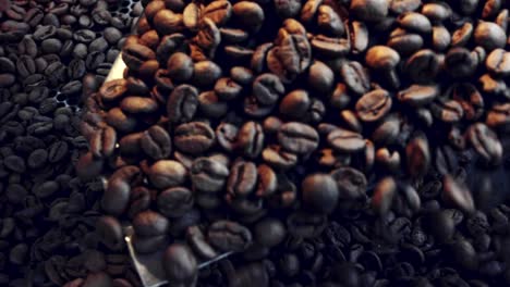 a gloved hand scoops coffee beans out of the roaster - close up slow motion