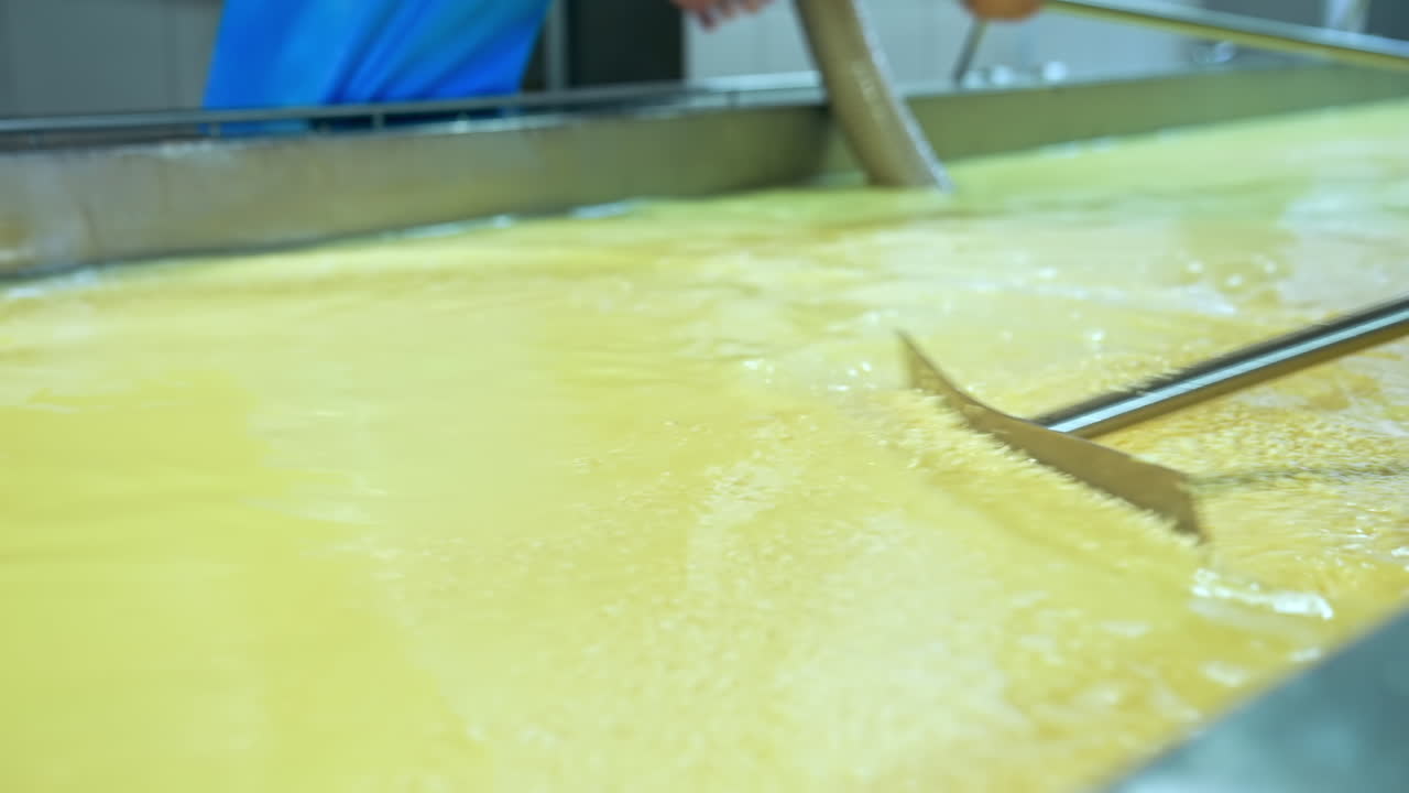 Milk producing factory manufacturing. Food modern organic industry process.