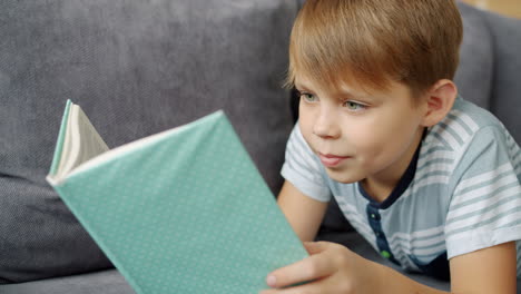boy reading a book on a couch