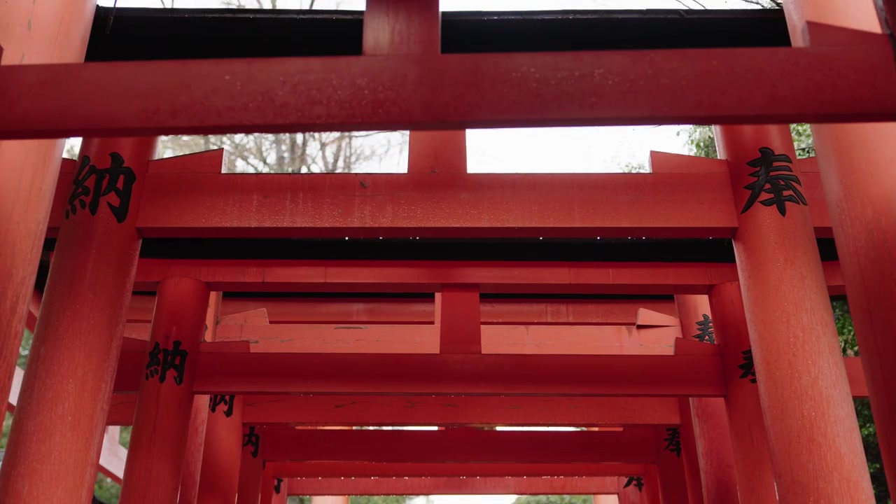 Primo piano estremo di travi e pilastri di cancelli torii rossi stratificati con iscrizioni kanji a Fushimi Inari Kyoto.