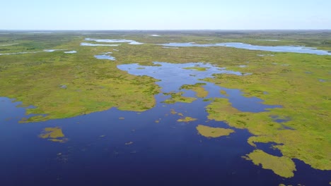 humedales del noreste de argentina disparados con drones