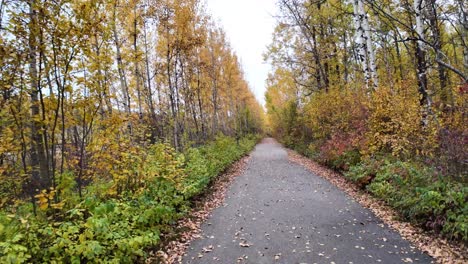 un paseo por el parque de devon voyageur en una noche de otoño