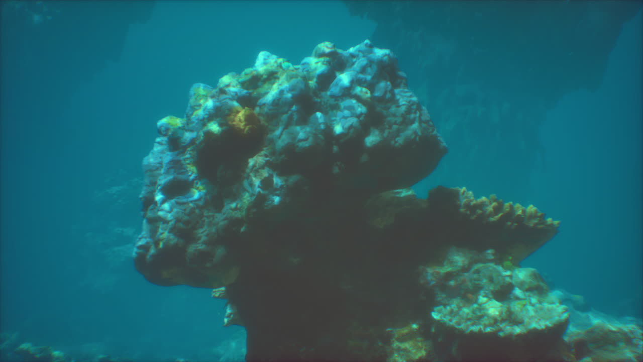 arrecife de coral submarino