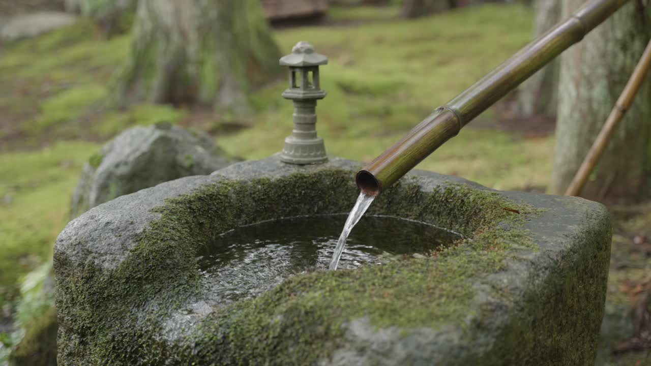 Water flowing through a bamboo stick into a stone sink in nature, Hakone, Japan