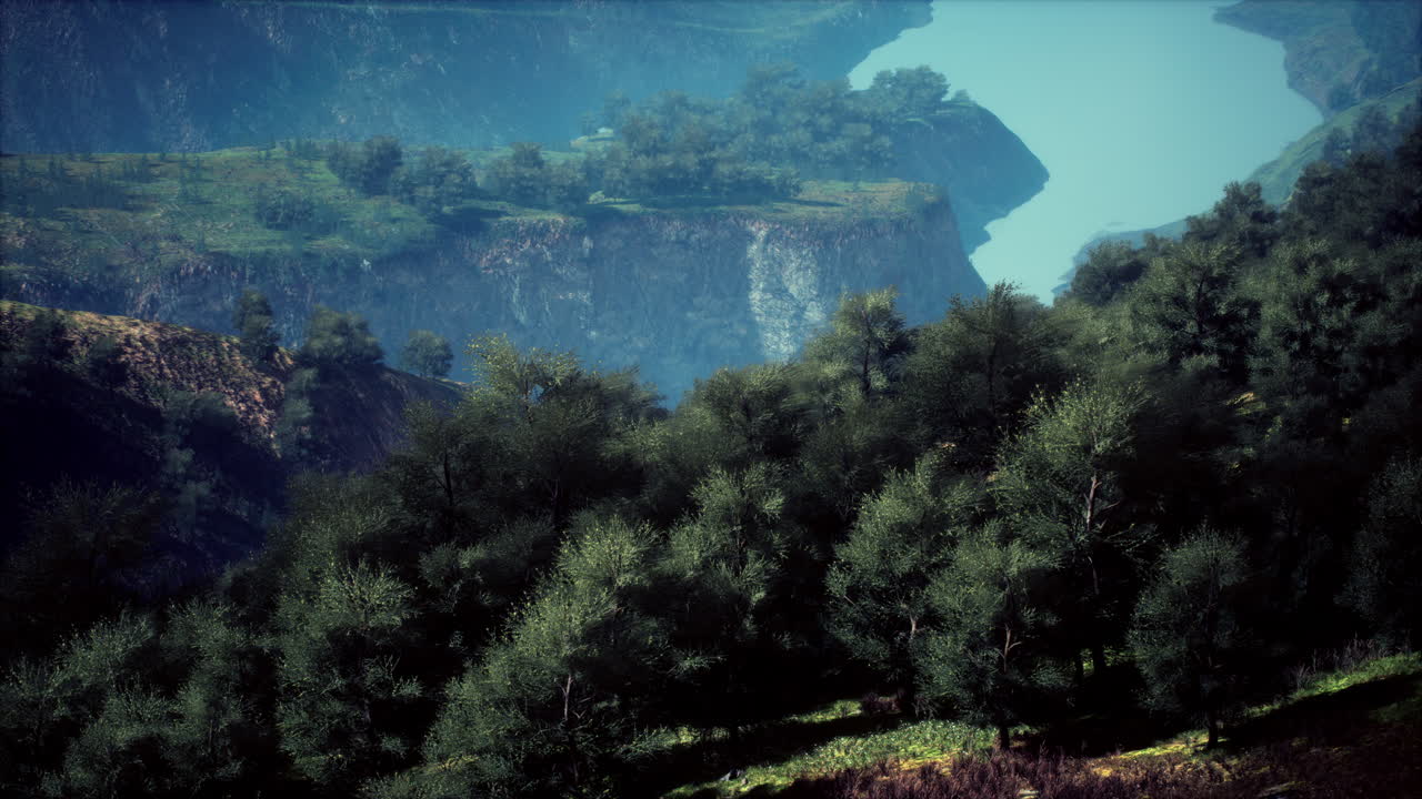 valle de montaña con río y bosque