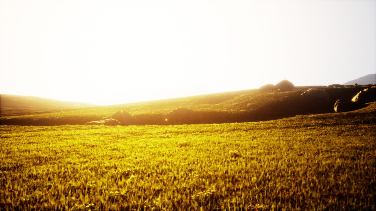 paisaje de prado de puesta de sol dorada