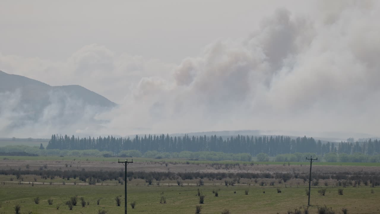 푸카키 다운 산불, 뉴질랜드에서 오는 큰 연기 구름의 정적  ⁇