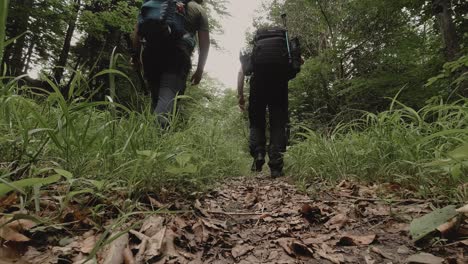 Low-Angle-Shooting-Von-Zwei-Wanderern,-Die-Im-Sommer-Auf-Einem-Wanderweg-Im-Wald-Vorbeikommen