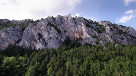 impressive mountains during a sunny day with trees in the foreground