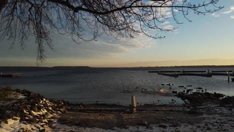patos y cisnes en la superficie del agua invernal durante un amanecer temprano en la mañana