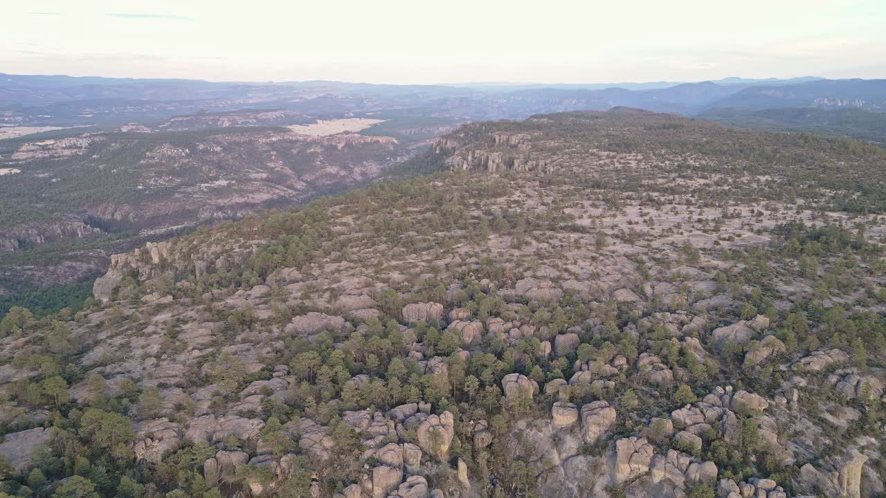 Mountain plateau with pine trees and rocks in Valle de los Monjes, Chihuahua, Mexico