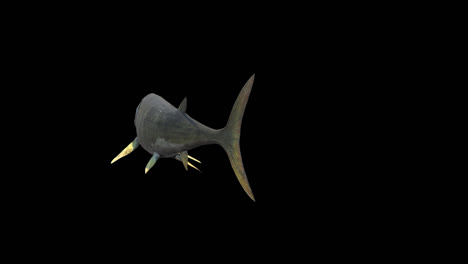 xiphactinus swims away