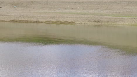 natural lake in a desert with reflective surface. dry and arid beach near a small lake in the desert.