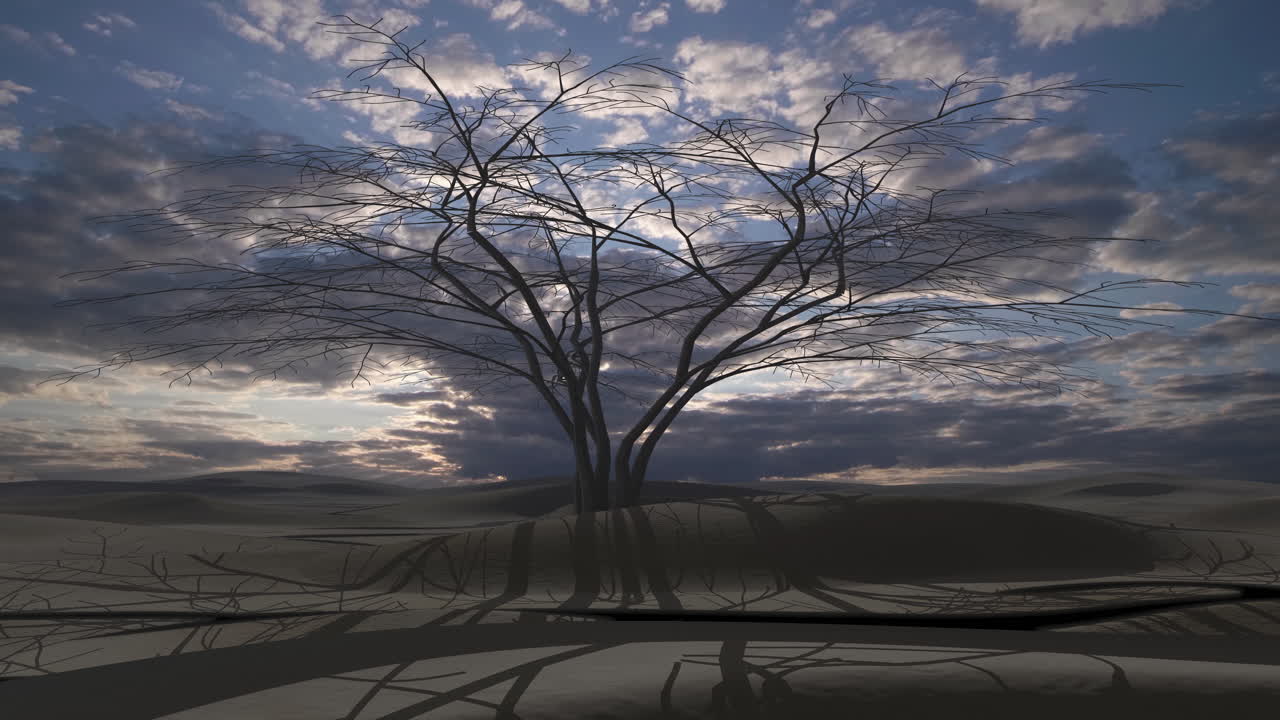 A lone tree in a desert landscape