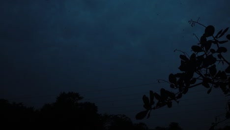 Landscape-with-cloudy-sky-at-twilight,-silhouette-of-vegetation