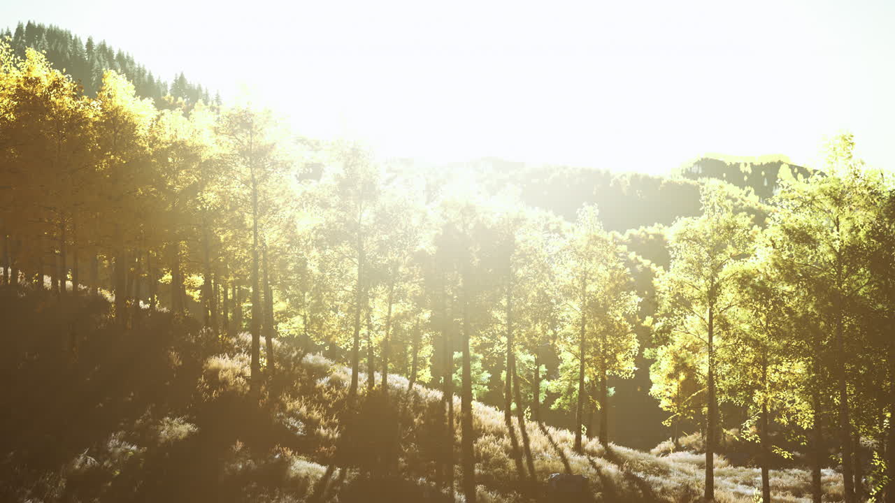 해가 지는 때 태양이 비추는 산들 사이에 가을의 나무가 있는 계곡