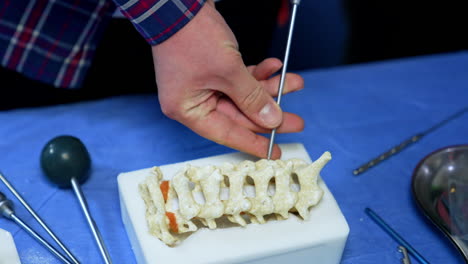 long metal medical tool is attached to the dummy of spine. male hands demonstrate instrument application at neurosurgery. training concept. close up.