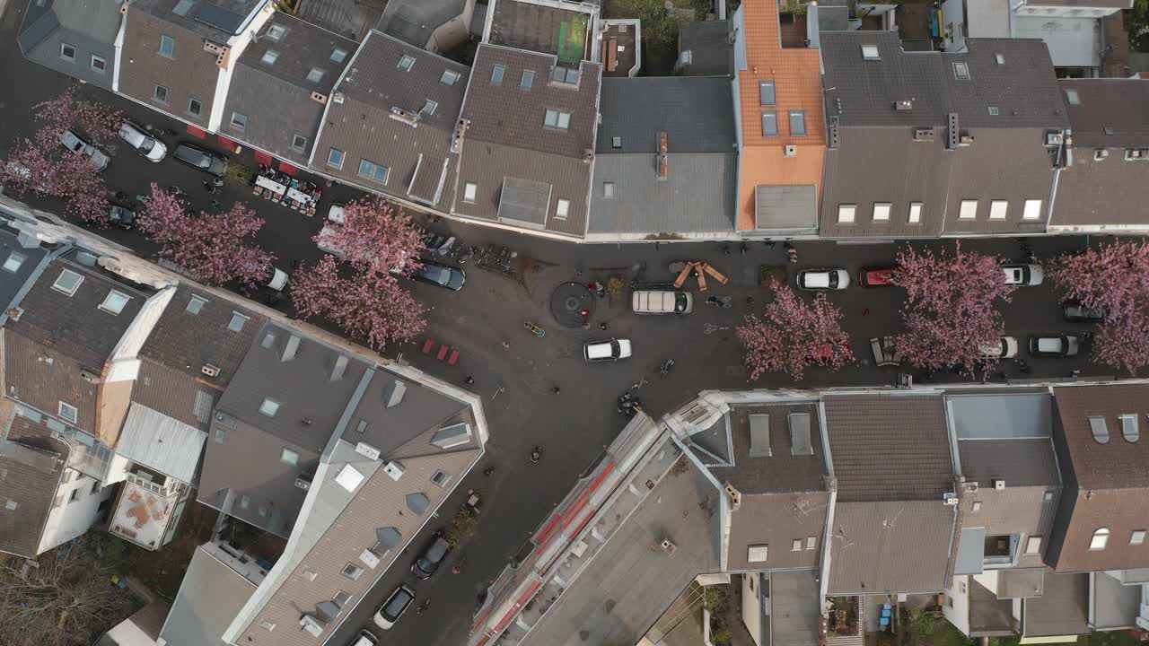 Drone - Aerial top shot of the Cherry Blossom in the city Bonn Kirschbluete in der Heerstraße Breitestraße Bonn Tourism 25p