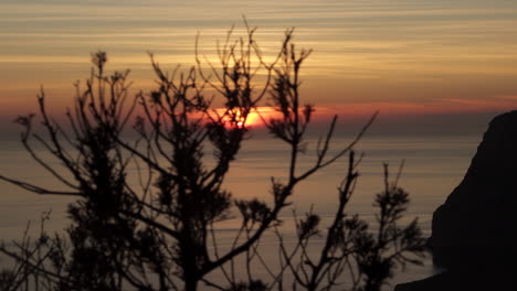 Smooth-traveling-behind-some-bushes,-behind-the-sunset-on-the-island-of-Es-Vedra,-Ibiza,-Spain