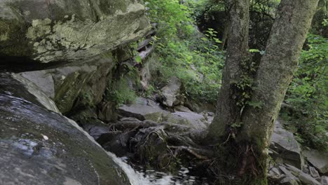 primer plano de cámara lenta de cascada de montaña con árboles