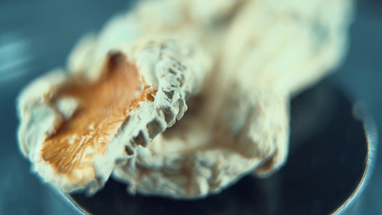 마법의 정신활성물질인 psilocybin 환각의 매크로 클로즈업 회전 아름다운  ⁇  빨간색  ⁇  모자, 스튜디오 조명, 슬로우 모션 120 fps, 풀 hd