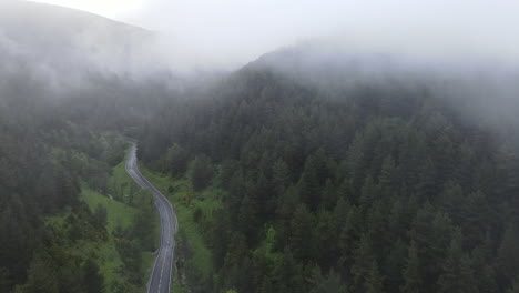 aerial view of a drone descending from the clouds to a humid mountain road crossing a majestic pine forest in the pyrenees