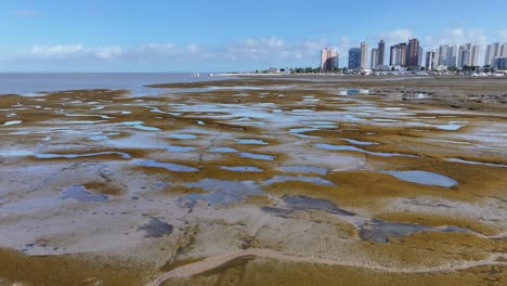 sao luis skyline at sao luis in maranhao brazil. nature landscape. mangrove skyline. sao luis skyline at sao luis in maranhao brazil. low tide scene. vacations travel. brazil northeast
