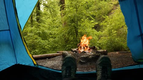 a person sits in a tent and looks out into the forest. a fire is burning and it's raining. he's camping in the wilderness. the trees are blooming. view from the tent with a first-person view.